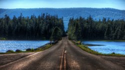 Road Lake and Forest