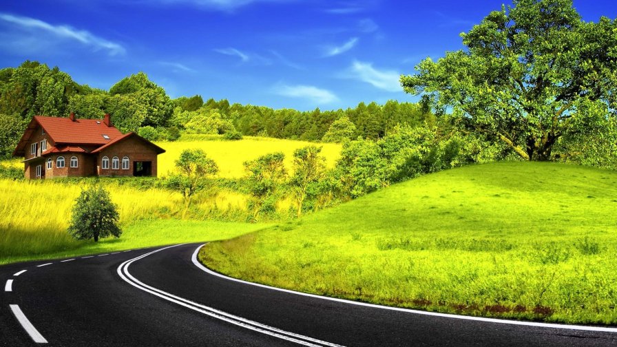 Road and Beautiful Green Meadow