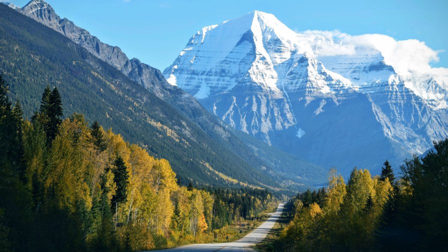 Road in Autumn Forest and Mountain Valley