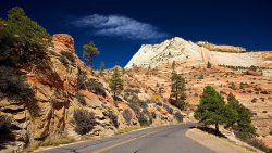 Road in Desert