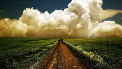 Road in Green Field and Beautiful Clouds