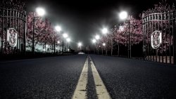 Road in Night City and Autumn Garden