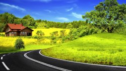 Road in Small Forest and Village