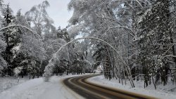 Road in Winter Snowy Forest