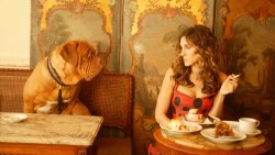 Sexy Smoking Brunette Girl and Dog