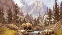 Single Bear on the Mountain River