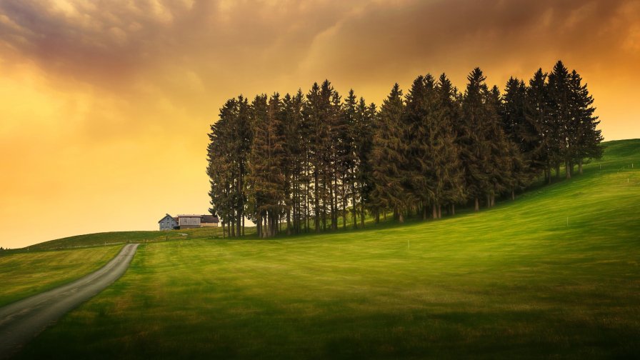 Single House and Small Forest