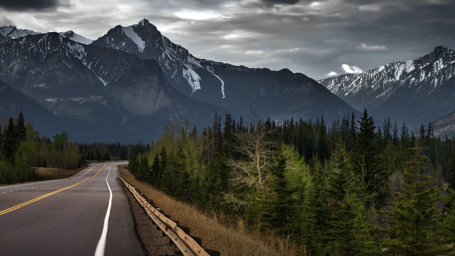 Single Road Green Forest and Mountains