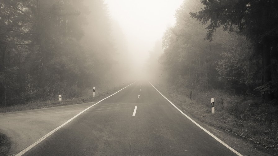 Single Road in the Wood and Fog