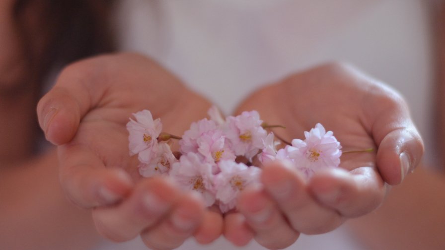 Small Flowers in the Hands