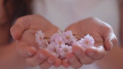 Small Flowers in the Hands