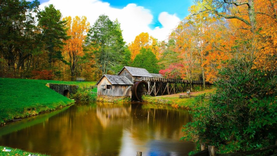 Small River in Forest and Old Single Mill