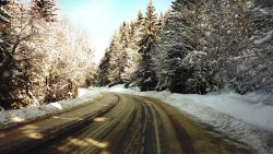 Snow Road in the Forest