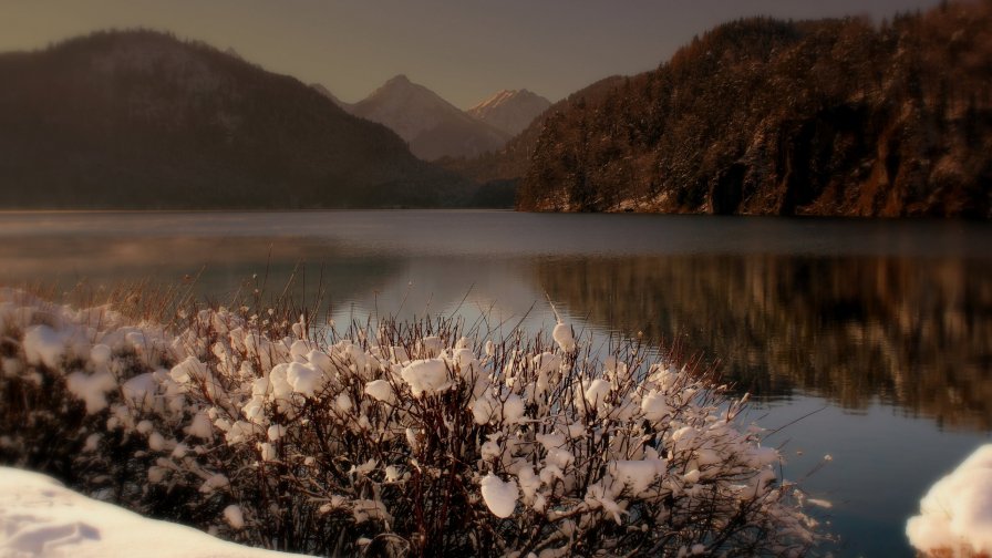 Snowed Bushes and Winter Forest with Lake