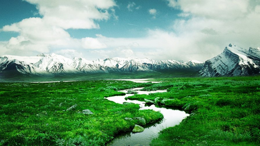 Stream in Mountain Valley and Green Grass