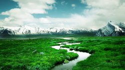 Stream in Mountain Valley and Green Grass