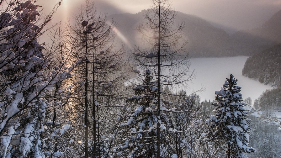 Sunrise in Winter Forest