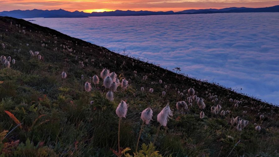 Sunrise on Tatoosh Peak Washington State