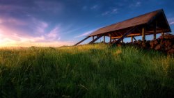 Sunset and Green Field