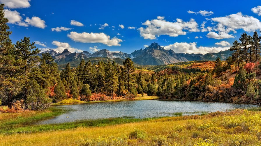 Swamp Mountains and Forest