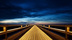 The Bridge and Lights