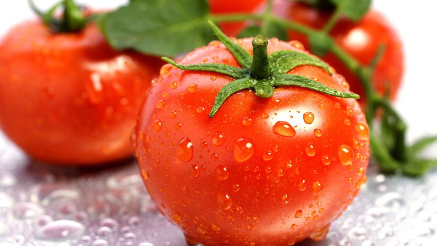 Tomatoes on the Table Close Up