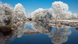 Trees and Frost in the Winter Forest and Lake