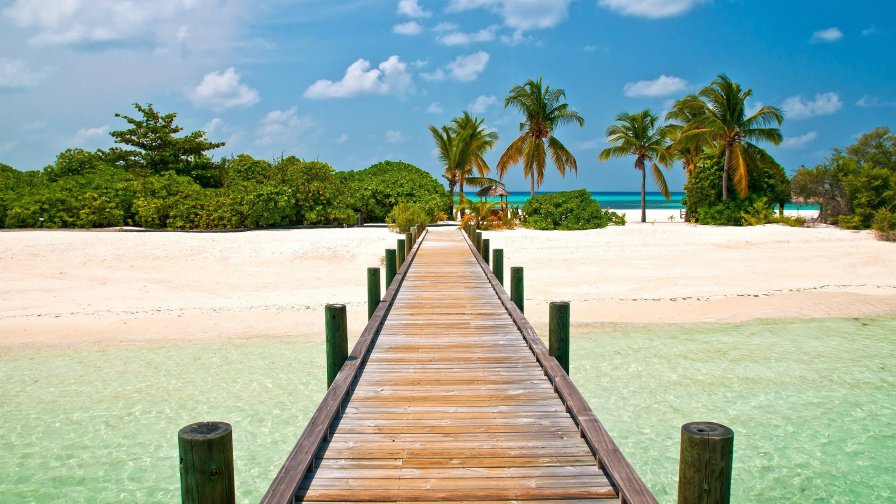 Tropical Beach and Bridge