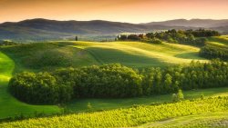 Tuscan Green Field and Forest Italy