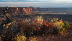 Utah Canyon Landscape