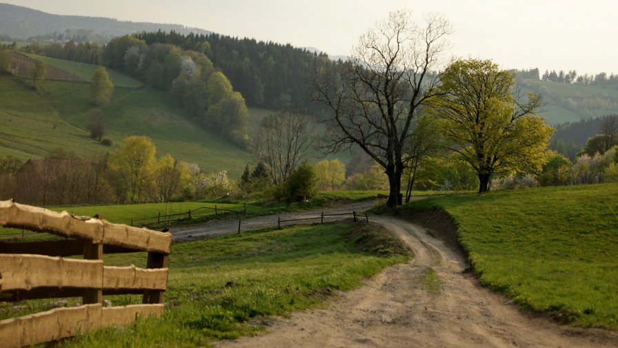 Village Road and Fence