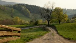 Village Road and Fence