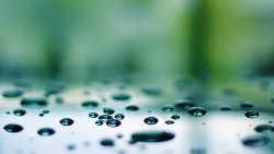 Water Drops on the Glass after Rain in Green Forest