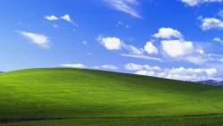 Windows XP Original Photo Green Field