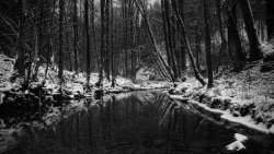 Winter Dark Forest and River