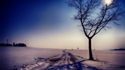 Winter Field and Road