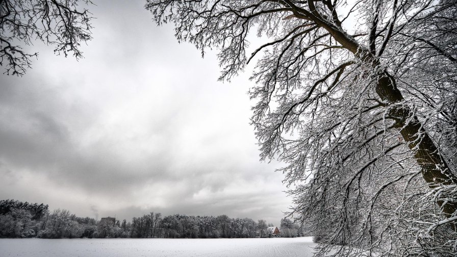 Winter Forest and Small Village