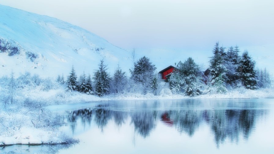 Winter Lake Snowy Forest and Single House