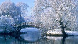 Winter Lake with Frost on the Trees and Bridge