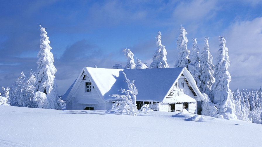 Winter Snowed Village