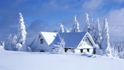 Winter Snowed Village