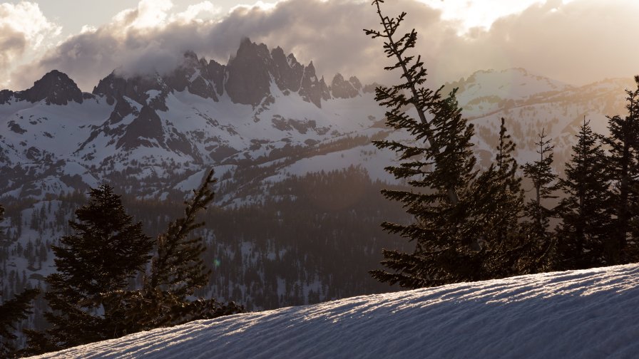 Winter Snowy Mountains and Pine Forest