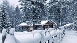 Winter Village in Forest