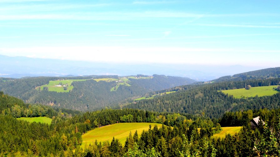 Wonderful Beautiful Scenery Austria Green Forests