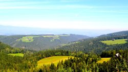 Wonderful Beautiful Scenery Austria Green Forests