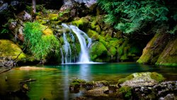 Wonderful Beautiful Waterfall in Green Forest