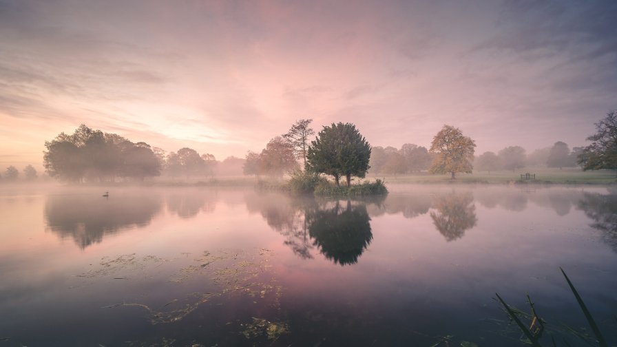 Wonderful Fog Sunrise and Island