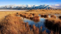 Wonderful Mountains and Clear Swamp with Yellow Grass