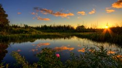 Wonderful Sunrise and Lake