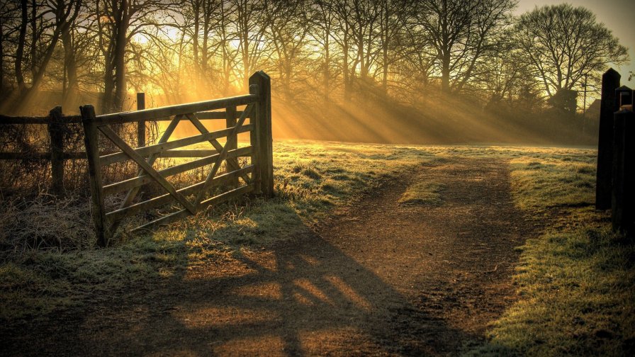 Wonderful Sunrise and Meadow